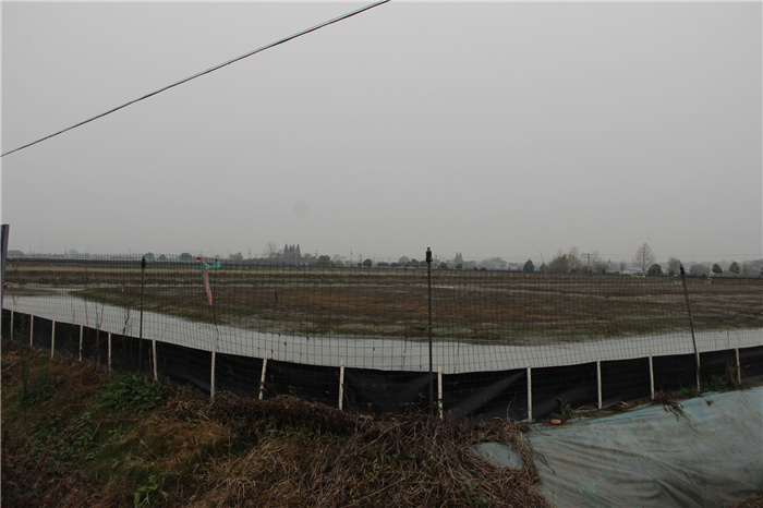 《灣沚區(qū)花橋鎮(zhèn)十四五現(xiàn)代農(nóng)業(yè)發(fā)展規(guī)劃》初期調(diào)研工作順利完成！(圖4)