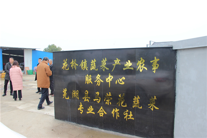 《灣沚區(qū)花橋鎮(zhèn)十四五現(xiàn)代農(nóng)業(yè)發(fā)展規(guī)劃》初期調(diào)研工作順利完成！(圖6)