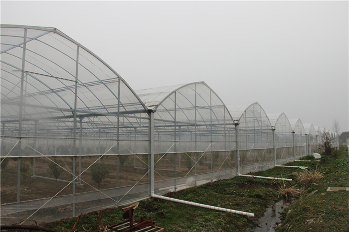 《灣沚區(qū)花橋鎮(zhèn)十四五現(xiàn)代農(nóng)業(yè)發(fā)展規(guī)劃》初期調(diào)研工作順利完成！(圖13)