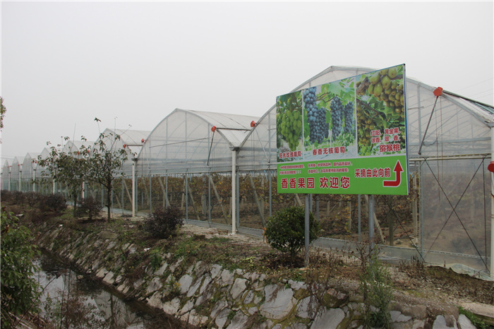 《灣沚區(qū)花橋鎮(zhèn)十四五現(xiàn)代農(nóng)業(yè)發(fā)展規(guī)劃》初期調(diào)研工作順利完成！(圖14)