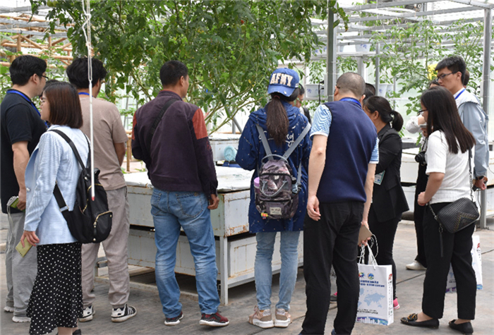 喜報(bào)！第九屆北京（通州）國(guó)際都市農(nóng)業(yè)科技節(jié)榮獲“特色展示設(shè)計(jì)展會(huì)”稱號(hào)(圖6)